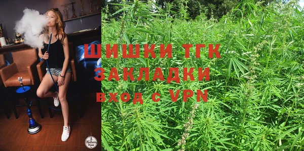 тгк Алексин