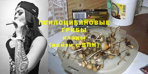 тгк Алексин